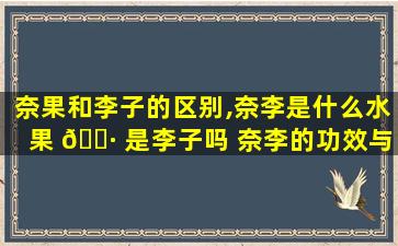 奈果和李子的区别,奈李是什么水果 🌷 是李子吗 奈李的功效与作用